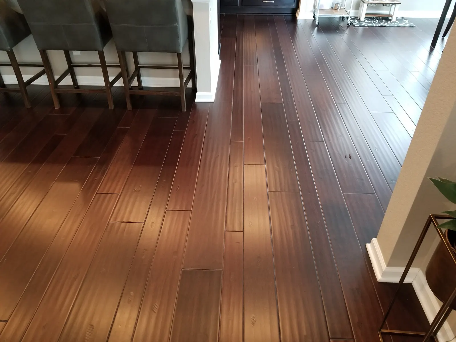 Hardwood floors shining after professional floor cleaning